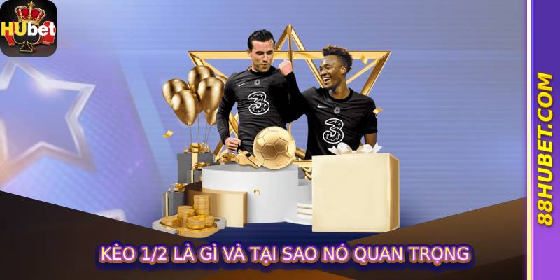Kèo 1/2 Là Gì Và Tại Sao Nó Quan Trọng